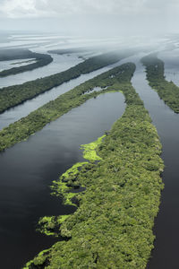 Beautiful aerial view to negro river green amazon island archipelago
