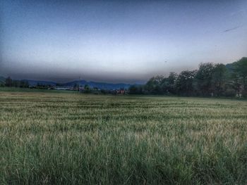 Scenic view of field against sky