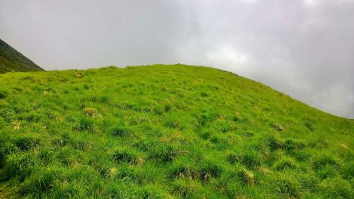 Low angle view of green landscape against sky