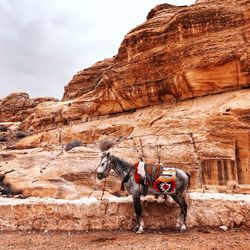 View of people riding motorcycle on rock