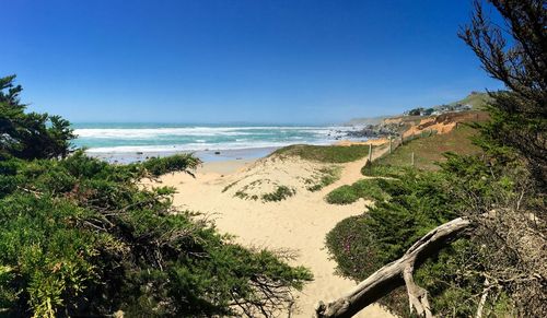 Scenic view of beach against blue sky during sunny day