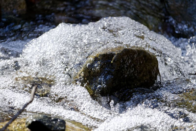 Close-up of water splashing