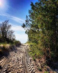 Dirt road amidst trees against sky