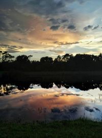 Reflection of trees in lake