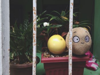 Stuffed toy by passion fruit on potted plant