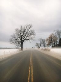 Bare trees on road against sky during winter