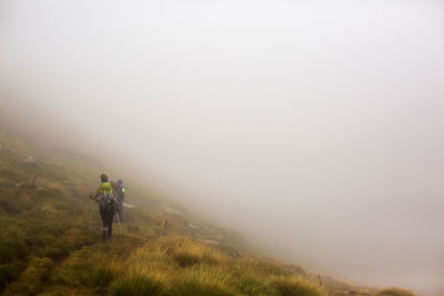 Hikers with backpacks and walking sticks walking on grassy hill slope on misty day in pyrenees