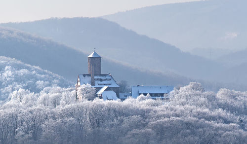 Buildings amidst trees during winter