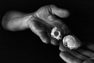 Cropped hands of man holding animal skulls against black background