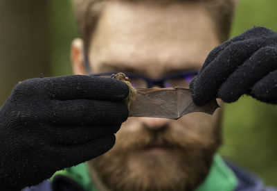 Close-up of person holding leaf against blurred background