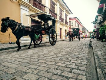 Horse cart on street in city