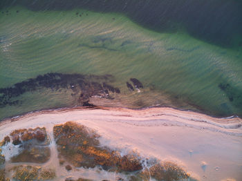 Aerial view of beach