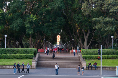 People walking on road by trees in city
