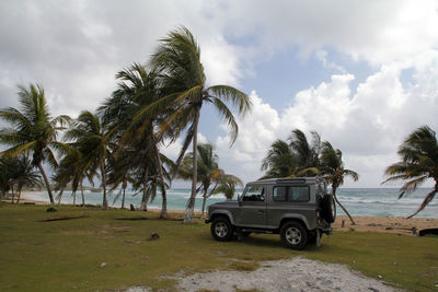 Car moving on palm trees against cloudy sky