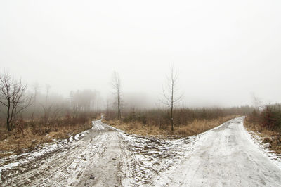 Road amidst bare trees against clear sky