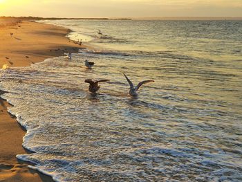 Scenic view of sea during sunset