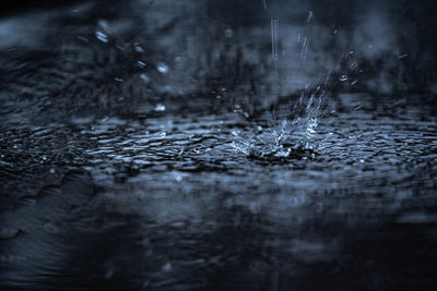 Close-up of raindrops on water
