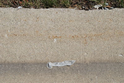 Close-up of abandoned condom