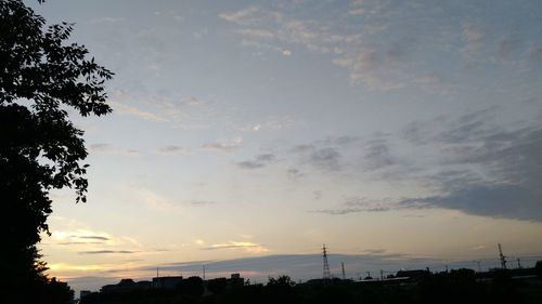 Low angle view of silhouette trees against sky at sunset