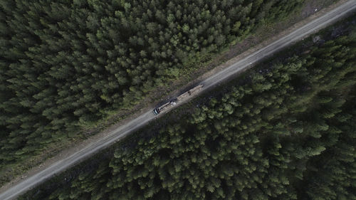 Aerial view of timber truck driving on dirt road in forest