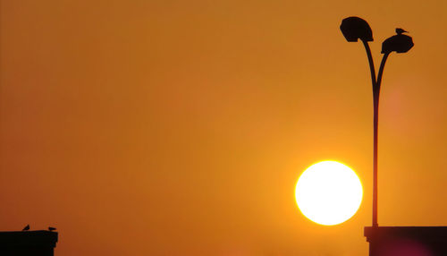 Low angle view of street light against orange sky