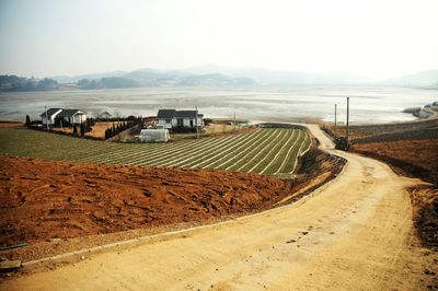 Road by agricultural field against sky