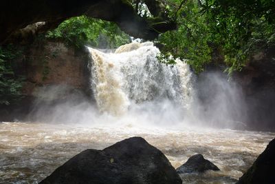 Scenic view of waterfall in forest