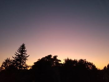 Silhouette trees against sky during sunset