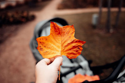 Close-up of hand holding maple leaf during autumn