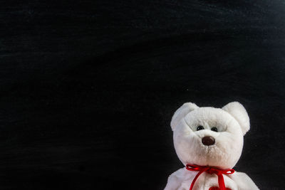 Close-up of stuffed toy against black background