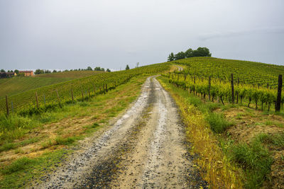 Road amidst agricultural field against sky