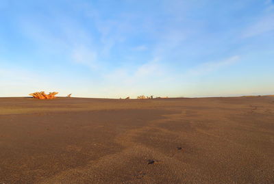 Scenic view of desert against sky