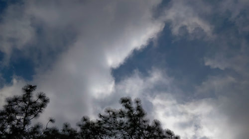 Low angle view of trees against cloudy sky