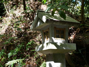 View of an animal outside house in forest