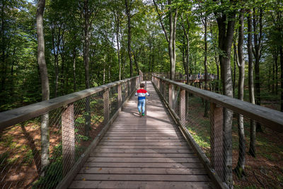 Rear view of boy walking on footbridge in forest