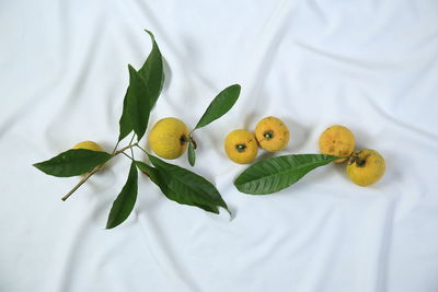 High angle view of fruits on bed