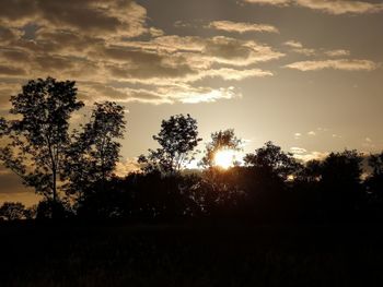 Silhouette trees on field against sky at sunset