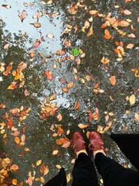 Low section of woman standing by fallen leaves on wet road