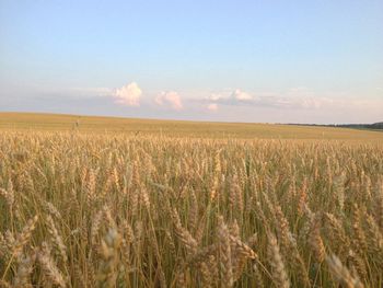 Scenic view of field against cloudy sky