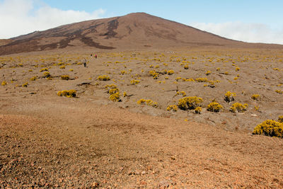 Scenic view of desert against sky