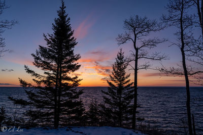 Silhouette trees on snow covered land against sky during sunset