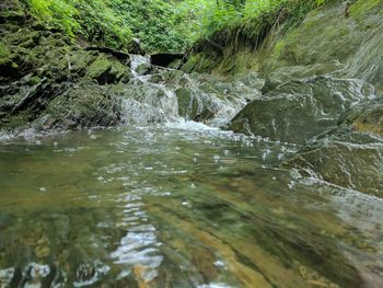 Scenic view of waterfall in forest