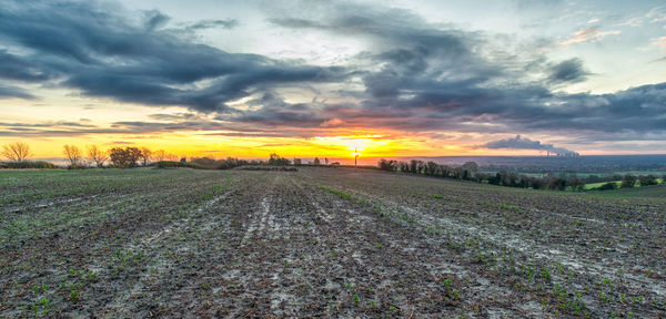 Scenic view of field against sky during sunset