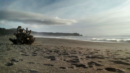 Scenic view of beach against sky