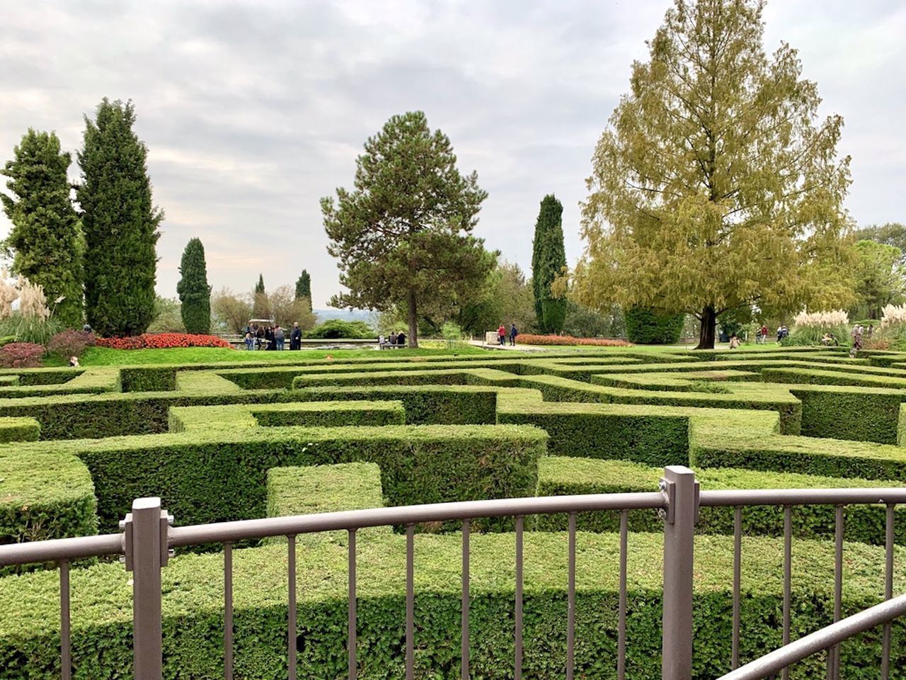 TREES AND PLANTS IN PARK