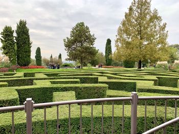 Trees in park against sky