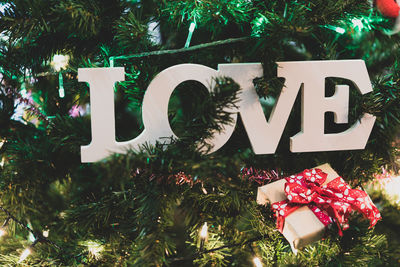 Text on christmas tree