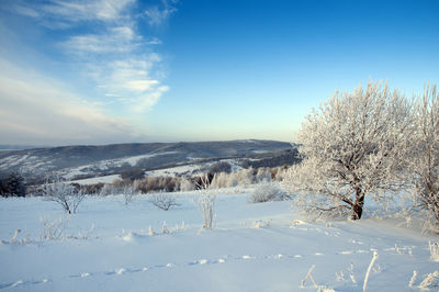 Beautiful winter landscapes in the valleys