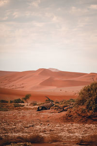 Scenic view of desert against sky