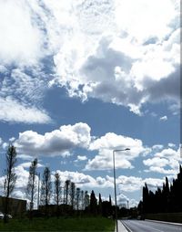 Low angle view of trees on field against sky